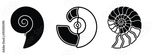 Three nautilus shell illustrations with varying detail levels in black and white
