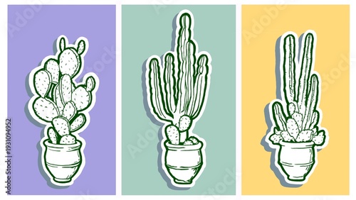 Hand Drawn Cactus Collection Line Art Illustration on Colorful Background