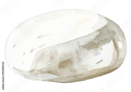 Mozzarella Cheese Elegant Watercolor Food Illustration