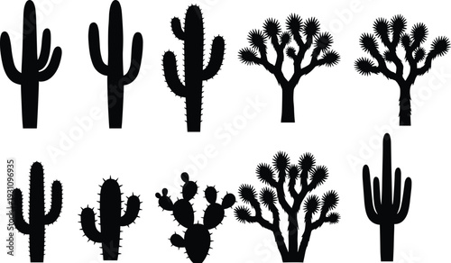 Cactus and Joshua tree silhouette collection isolated on white background, detailed desert plant vector set with saguaro and prickly pear