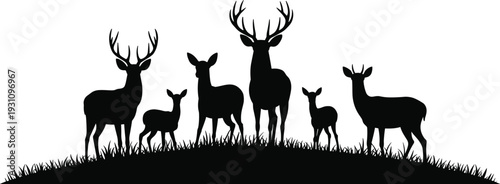 Deer family silhouette with stag, doe and fawns standing on grassy hill isolated on white background, detailed wildlife vector illustration
