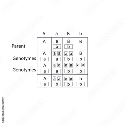 Punnett Square Genetic Traits Inheritance Chart.