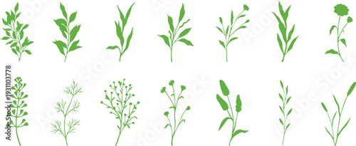 Green botanical plant silhouettes set isolated on white background. Minimal leaf and herb collection with organic stems for branding, packaging, and animation. Clean nature elements for vector, 