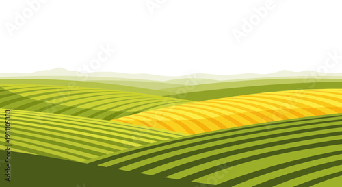 Rolling Green and Yellow Fields, Agricultural Landscape, Organic Farming, Rural Scenery