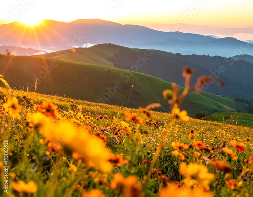 A serene landscape of rolling hills and vibrant wildflowers at sunset