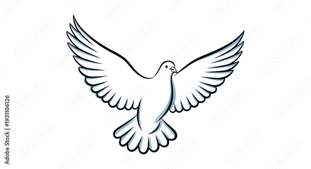 Fototapeta premium White Dove Flying Spreading Wings Isolated On White Background