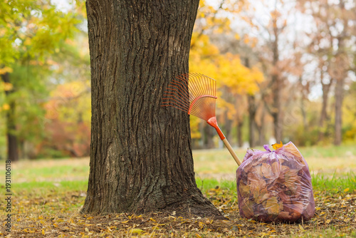 Garbage bag with autumn lea...