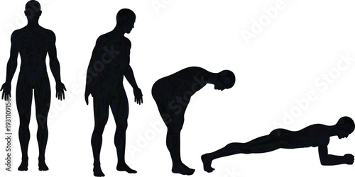 Male Anatomy Silhouette Sequence Exercise Positions, Cad Drawing Flat Vector Illustration of Human Body Muscular System Isolated Background