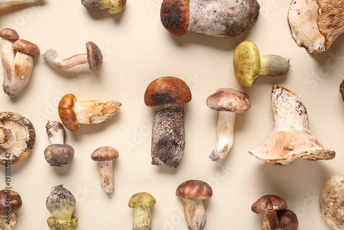 Composition with mushrooms ...