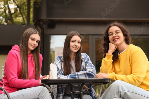 Happy teenage girls sitting...
