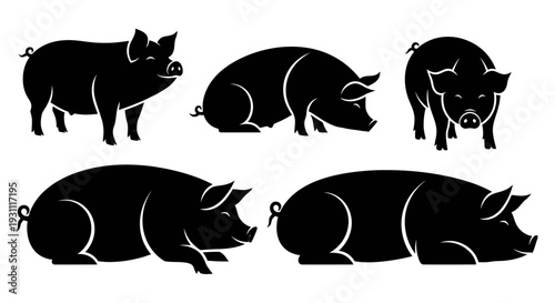 Collection of pig silhouettes in various poses, showcasing different views and actions, vector illustration