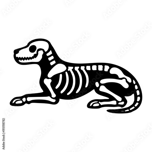 Dog skeleton lying down relaxed pose, side view