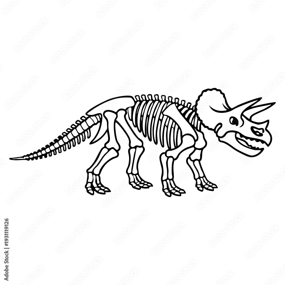 Fototapeta premium Triceratops skeleton, full body side view with three horns