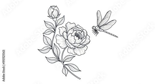 Hand Drawn Peony Flower and Dragonfly Sketch, Elegant Botanical Illustration