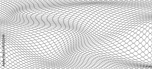 Black snake skin pattern isolated on white background eps 10