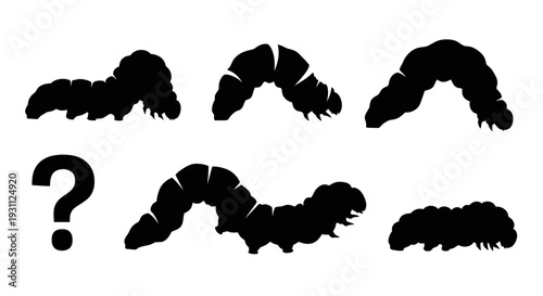 Caterpillar Silhouette Collection with Question Mark - Insect Life Cycle Concept