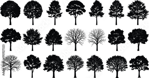 Black silhouette collection of diverse deciduous and evergreen tree shapes with bare winter branches and leafy summer foliage isolated on white background for graphic design