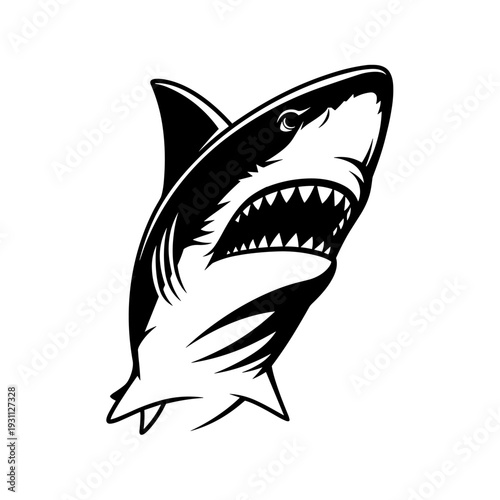 Aggressive black and white shark head with open mouth and sharp teeth illustration