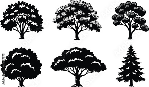 Black silhouette vector set of various forest and garden trees including oak spruce and flowering species isolated on white background for landscape design