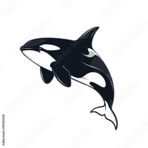 Stylized cartoon killer whale orca swimming isolated illustration