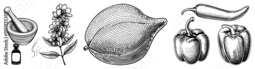 Hand drawn botanical sketches of mortar and pestle, flowering herb, fig, chili, bell peppers classic culinary and medicinal ingredients, rendered in halftone engraving style.