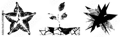 Halftone textured starfruit, sprouting plant with root system, explosive starburst graphic all isolated vector elements. Star shaped fruit, growing seedling, radial burst.