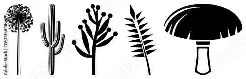 Dandelion, cactus, flowering plant, fern leaf, mushroom stylized botanical. Flat vector art for graphic design, web UI, or print.