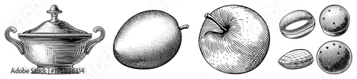 Classic engraved fruit depiction including, mango, almond, and citrus with ornate sugar bowl, vintage engraving style, black and white halftone texture.