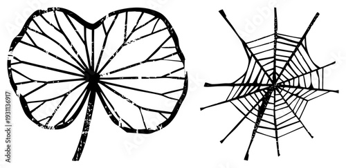 Black art leaf with vein and spider web with radial symmetry, vector graphic, isolated design elements, nature motifs, minimalist style.