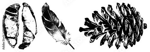 Ancient stone tool fragment, feather with barbs, pinecone with scales nature and artifacts rendered in bold black and white vector art. Ideal for design, illustration, and symbolic use.