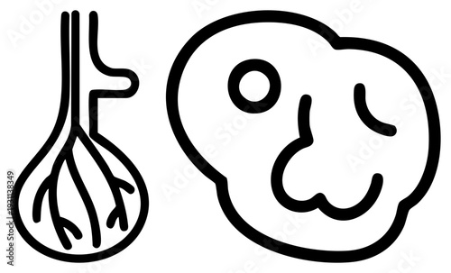 Minimalist depicting onion vegetable and pumpkin fruit, stylized food symbols, graphic design elements, culinary illustration.