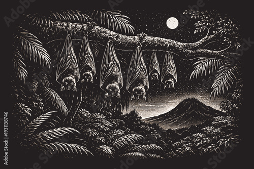 Group of bats hanging from a tropical tree branch, a detailed black and white vector illustration in an engraved style featuring night jungle wildlife.