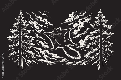 Flying squirrel gliding between coniferous trees, a vintage black and white vector illustration in an engraved style depicting woodland wildlife in motion.