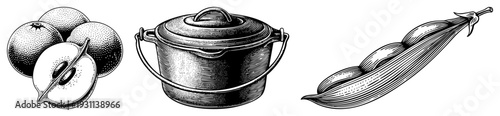Classic engraved style fruit and kitchenware, halftone shading, retro vector art, food illustration, vintage engraving, culinary sketch.