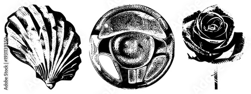 Classic black and white halftone art of scallop, car steering wheel, and rose bloom, graphic design elements, isolated vector, stylized nature and automotive motifs.