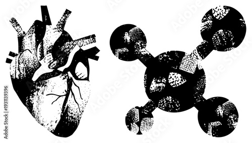 Anatomical heart illustration paired with molecular diagram, both rendered in halftone style, scientific visual, medical education, biology vector graphic.