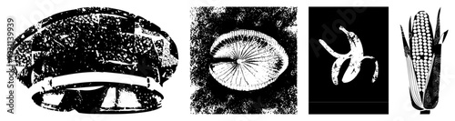 Four stylized vector shapes rendered in halftone style fragmented arch, radial disc, banana curve, corn cob. Artistic graphic elements with textured shading.