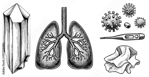 Respiratory system illustration showing bronchi, alveoli, and lung lobes alongside virus particles, thermometer, and crystal, vector medical diagram.