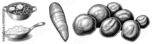 Hand drawn black and white sketches of culinary items including beans, rice, yuca, and chestnuts, rendered in classic engraving style with fine hatching and shading.