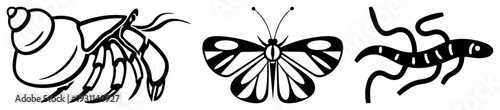 Three stylized creatures hermit crab with, butterfly with wing, and segmented worm. Minimalist vector art, isolated design, clean, graphic symbols.