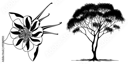 Stylized flower with bold stripes and slender stamens, paired with a full canopied tree silhouette, both in vector art. Botanical illustration, nature graphic, minimalist design.