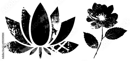 Black and white vector, lotus bloom and rose with distressed texture, graphic design elements, botanical motifs, halftone effects.