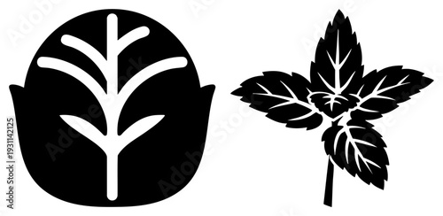Black and white vector of plant motifs, minimalist botanical symbols, graphic leaf, nature inspired glyph art, clean style.