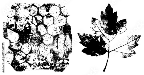 Beehive structure with hexagonal cells, maple leaf, halftone texture, vector graphic, isolated elements, nature motif, botanical illustration.