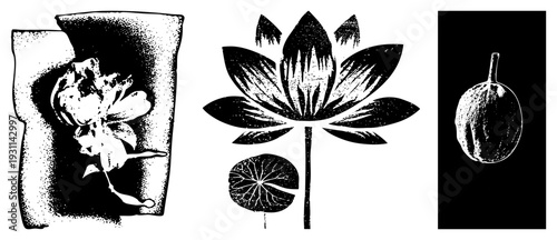 Black and white halftone prints of stylized flora, including rose, lotus, and fruit, rendered with dot textures for vintage graphic design.
