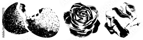 Black and white halftone rose, crumpled paper texture, abstract circular forms, graphic design elements, vector art, stylized botanical illustration.