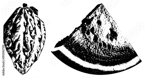 Black and white halftone vector of cacao pod and watermelon slice, stylized fruit illustration, graphic design element, food, botanical art.