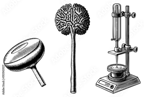 Scientific themed vector trio brain shaped tree, spinning top, lab apparatus, engraved art, educational, conceptual design.