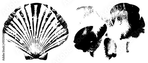 Black and white vector illustration of scallop and sea creature, halftone texture, marine life graphic, isolated cutout design, artistic sea motifs.