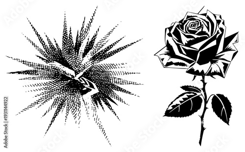 Stylized rose with sharp geometric petals and stem, paired with explosive halftone starburst tattoo art, comic book style, vector design.